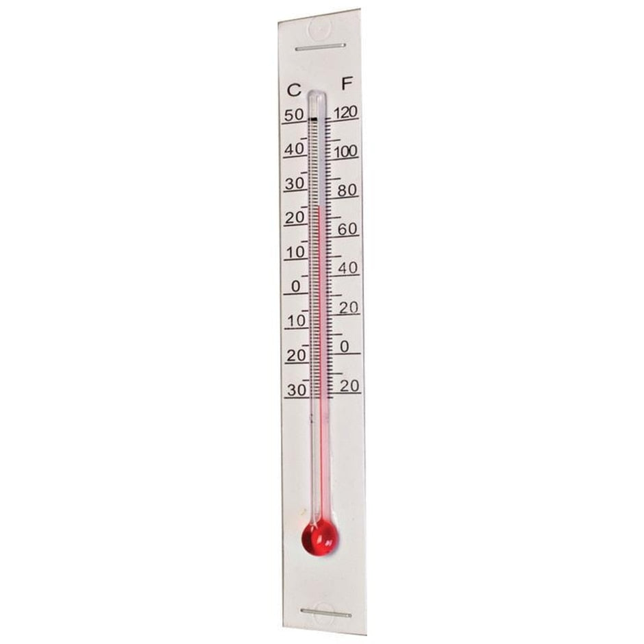 Buy Giant thermometer: Delivery by Crocus