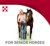 Purina® Equine Senior® Horse Feed